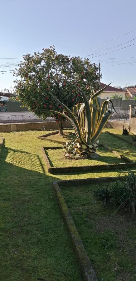 فيلا Moradia Santa Comba سانتا كومبا داو المظهر الخارجي الصورة